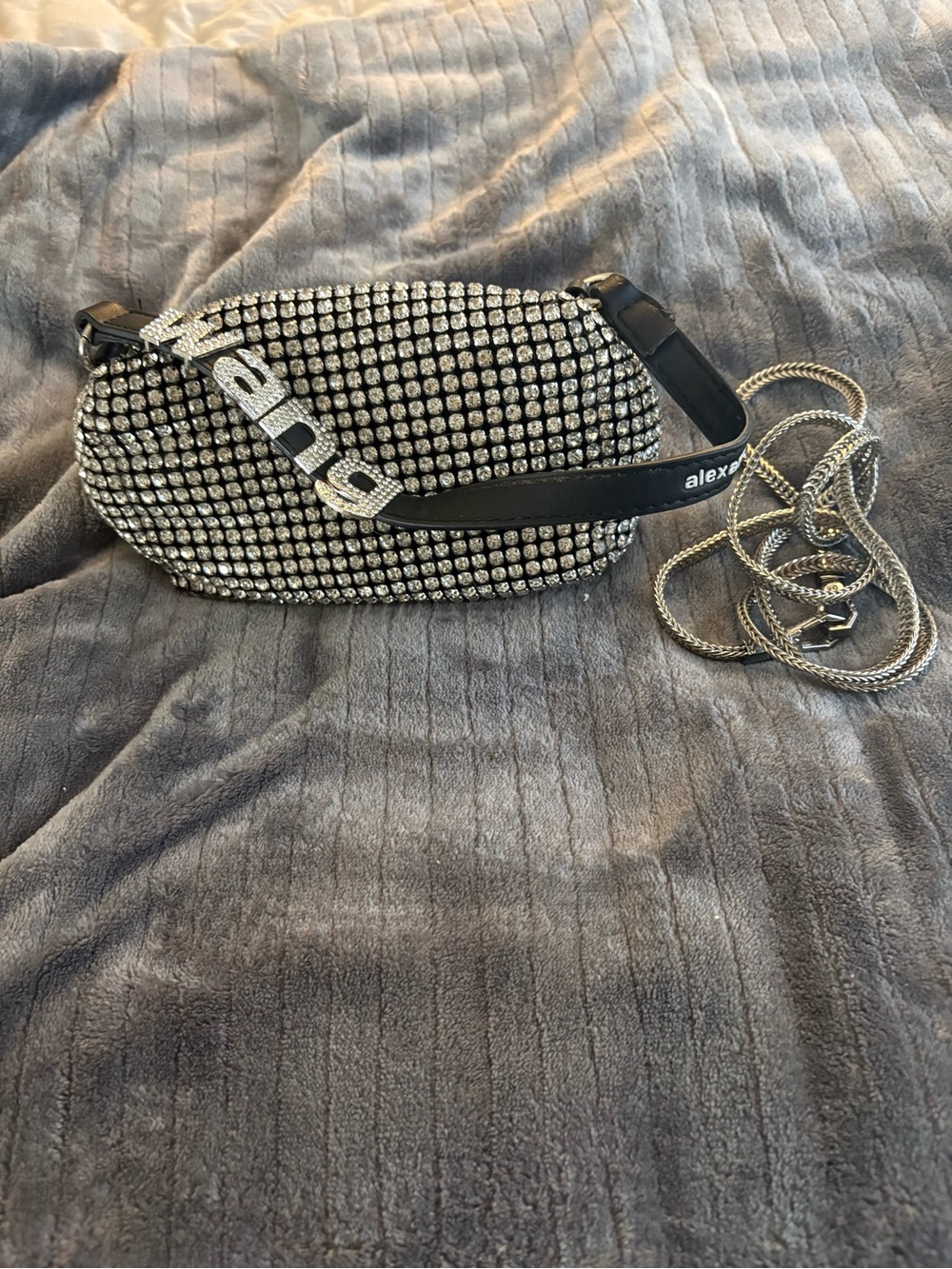 Alexander Wang Silver Rhinestone Crossbody with Branded Strap